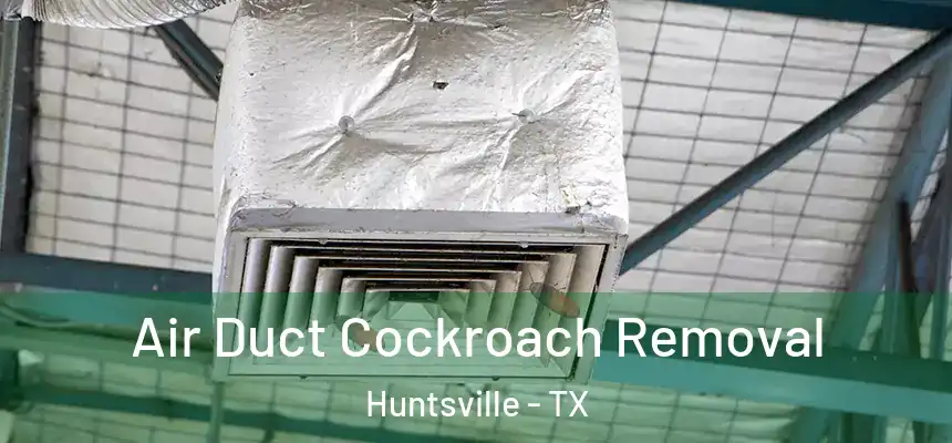 Air Duct Cockroach Removal Huntsville - TX
