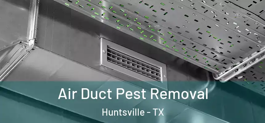  Air Duct Pest Removal Huntsville - TX