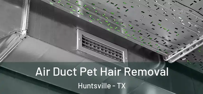 Air Duct Pet Hair Removal Huntsville - TX
