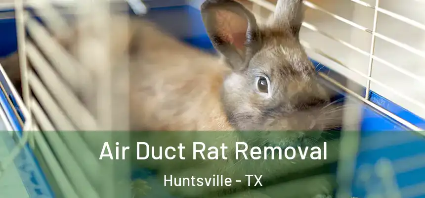 Air Duct Rat Removal Huntsville - TX