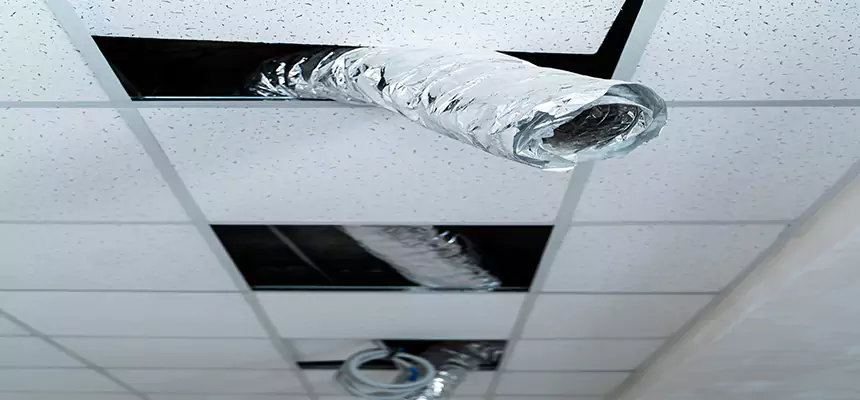 Our Air Duct Pet Hair Removal Services in Huntsville, TX