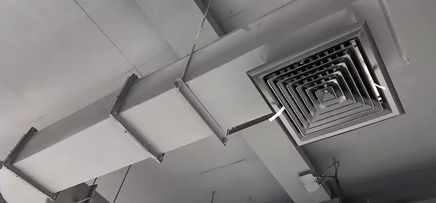 Our Pest Removal From Ducts Services in Huntsville, TX