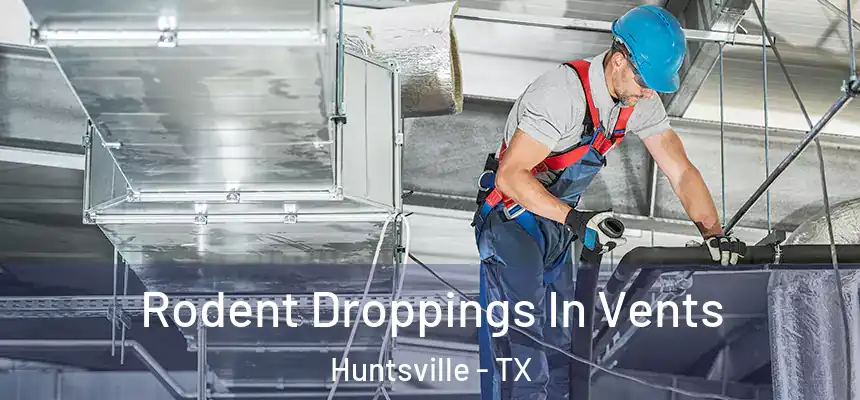 Rodent Droppings In Vents Huntsville - TX
