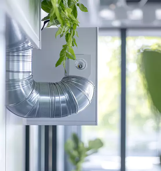 Professional Eco-Safe Dryer Vent Cleaning in Huntsville, TX