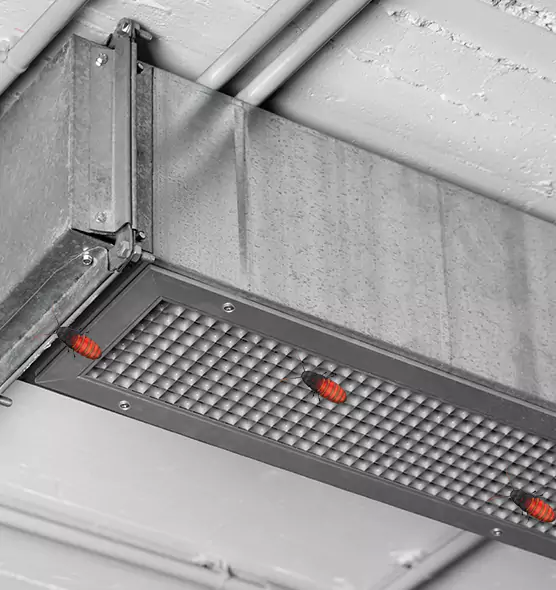 Affordable Insect Removal from Air Ducts in Huntsville, TX