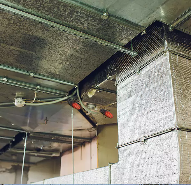 Why Homeowners & Businesses Trust Us in Huntsville, TX?