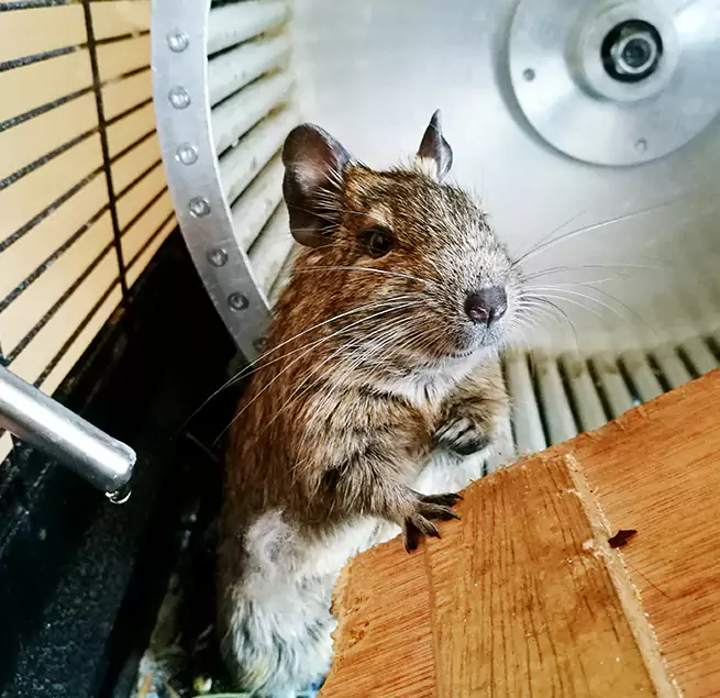 Why Homeowners & Businesses Trust Us Huntsville, TX